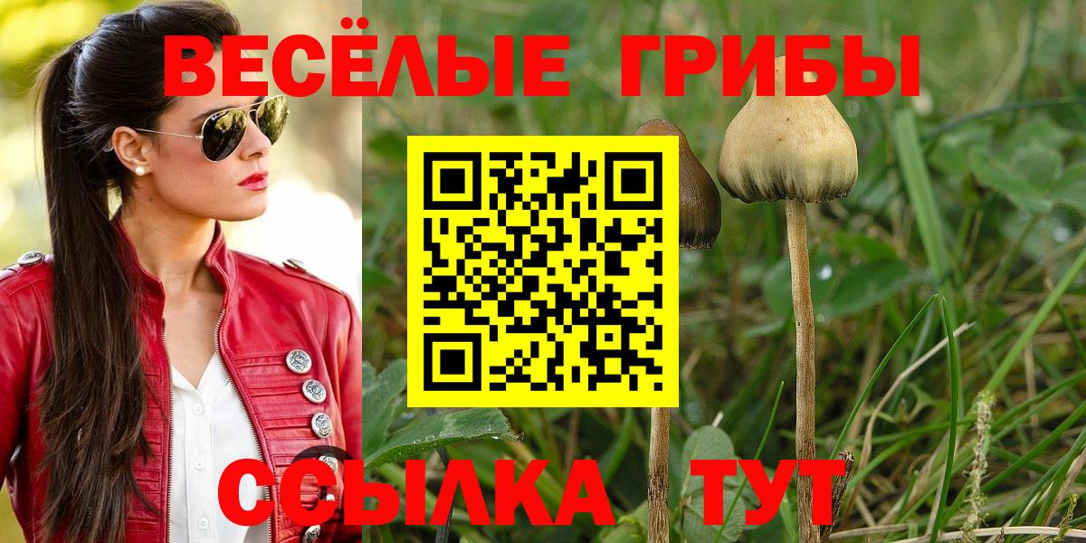 Строитель  где найти   Вход с VPN  Псилоцибиновые грибы мицелий  Галлюциногенные грибы GOLDEN TEACHER 