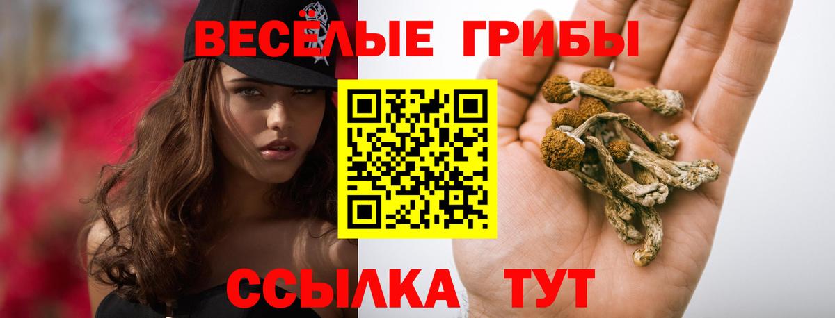 Галлюциногенные грибы мухоморы Строитель
